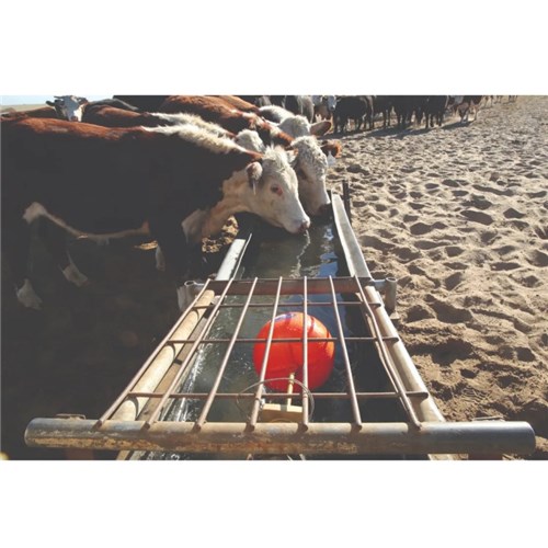 Philmac MegaPHIL Float Valve wth cattle